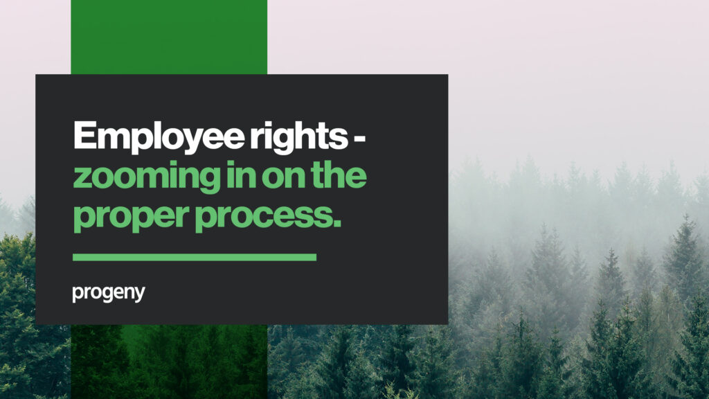 Employee rights – zooming in on the proper process